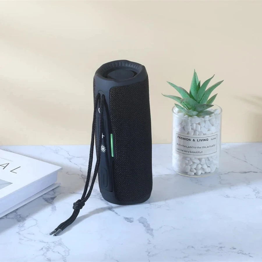 Portable Wireless Bluetooth Speaker with FM Radio