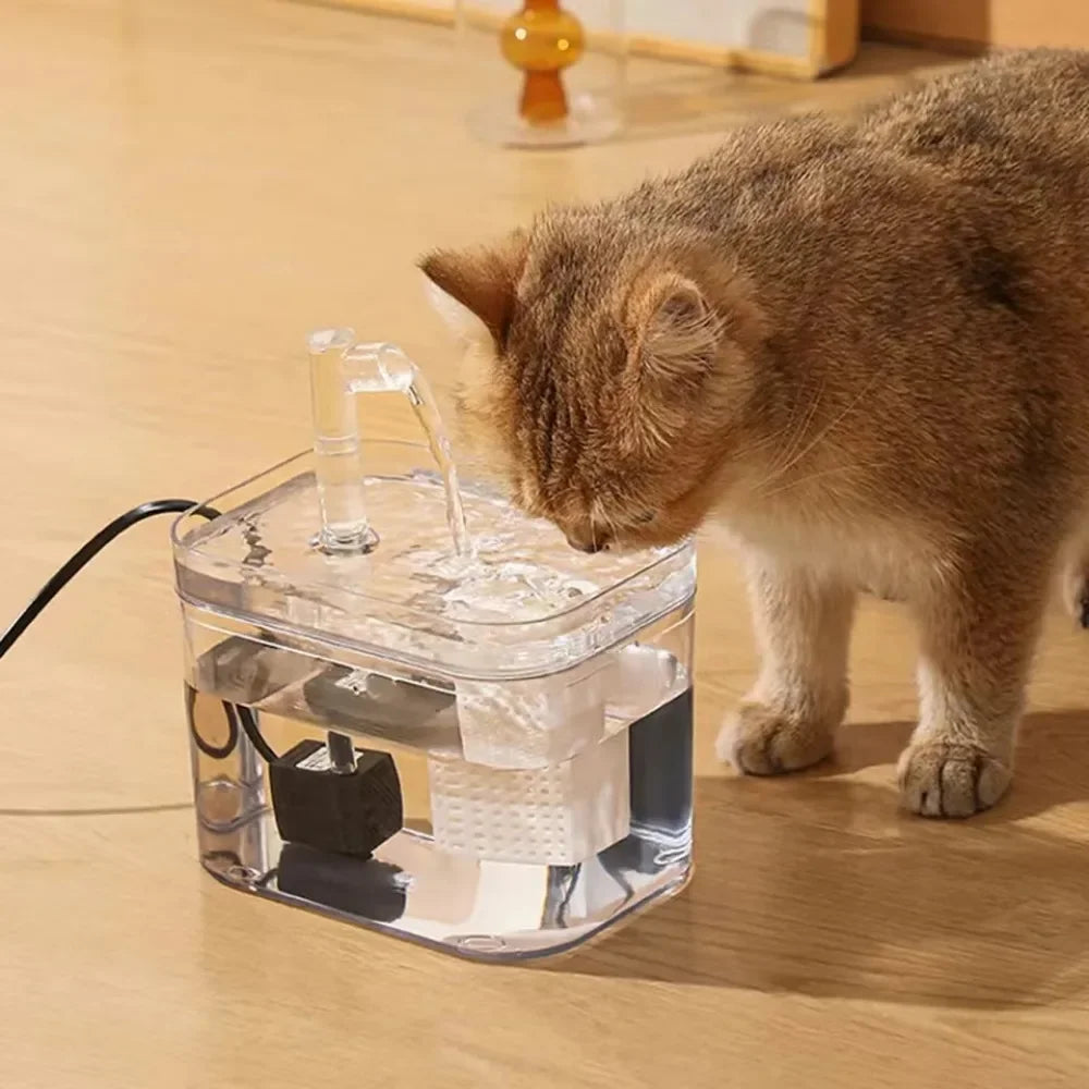 Transparent Pet Water Fountain – 1.5L